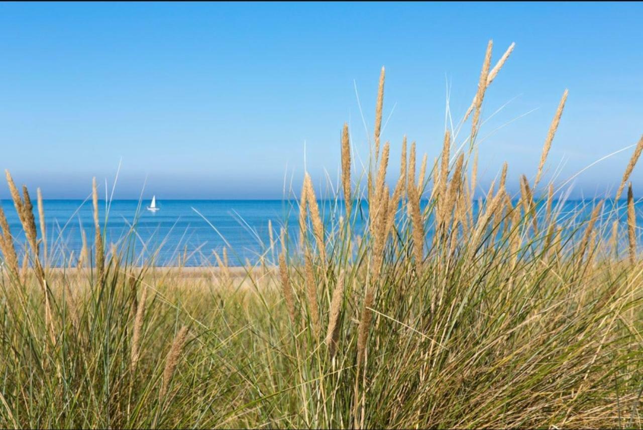 Viale Βίλα Egmond aan Zee Εξωτερικό φωτογραφία